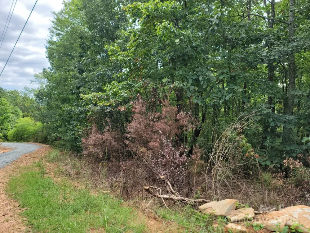 219 Judy Road Casar, NC 28020