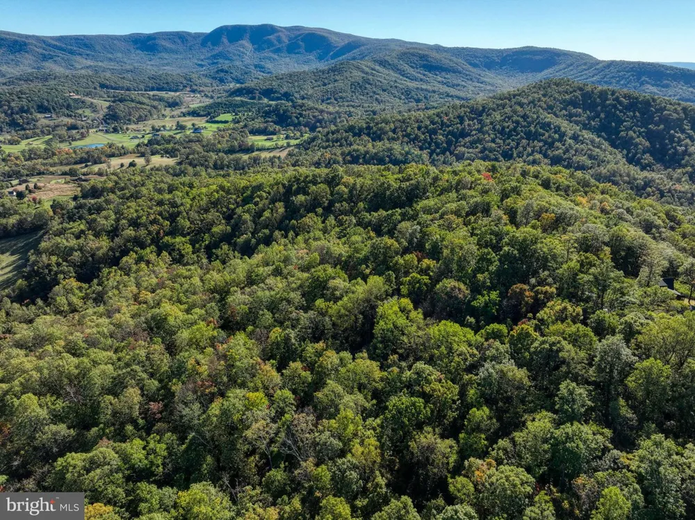 SEVEN OAKS DRIVE Bentonville, VA 22610