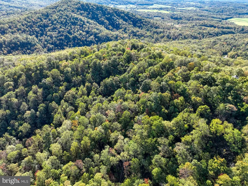 SEVEN OAKS DRIVE Bentonville, VA 22610