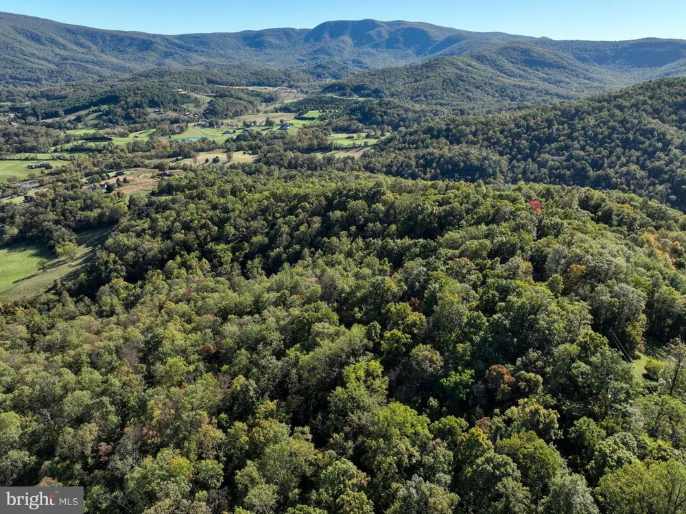 SEVEN OAKS DRIVE Bentonville, VA 22610