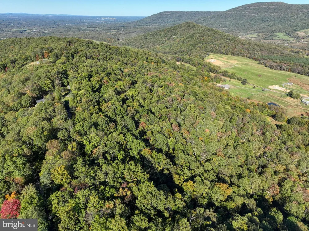 SEVEN OAKS DRIVE Bentonville, VA 22610