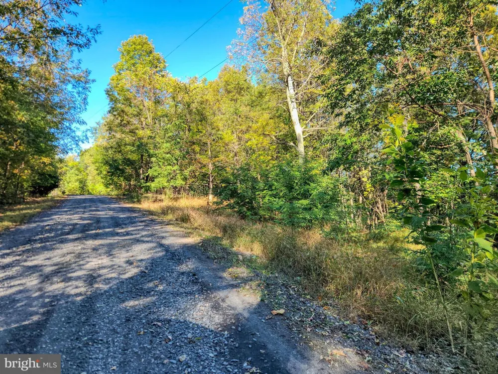 SEVEN OAKS DRIVE Bentonville, VA 22610