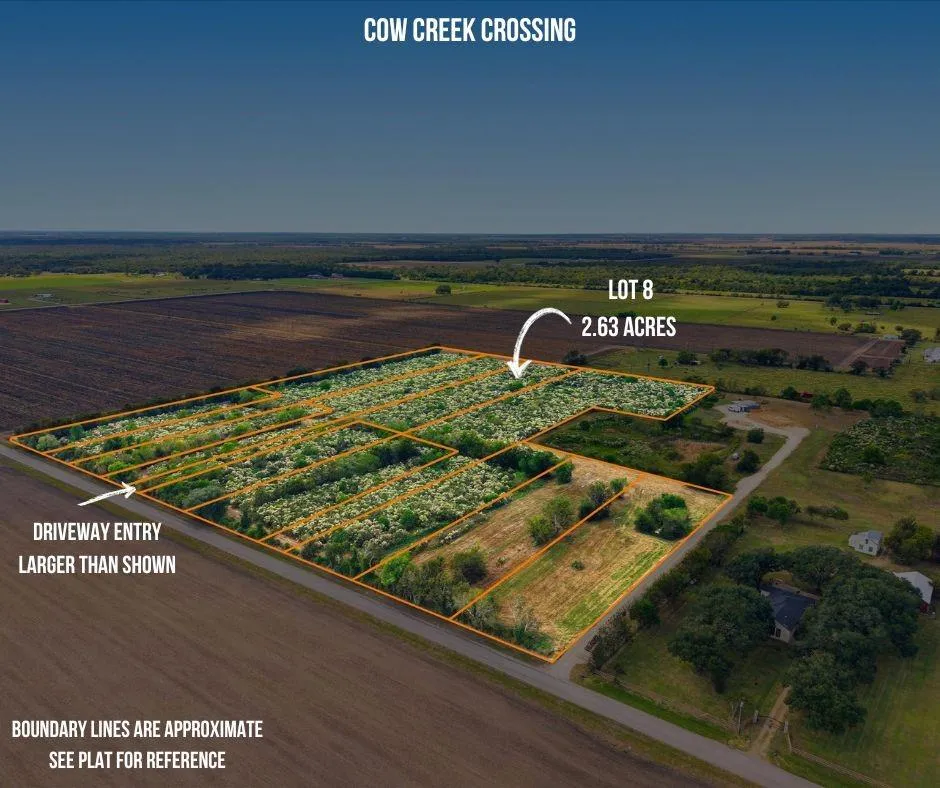 8 Cow Creek Road Damon, TX 77430