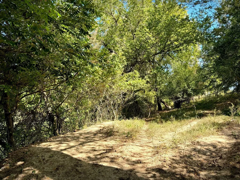4194 SE River Road Martindale, TX 78655
