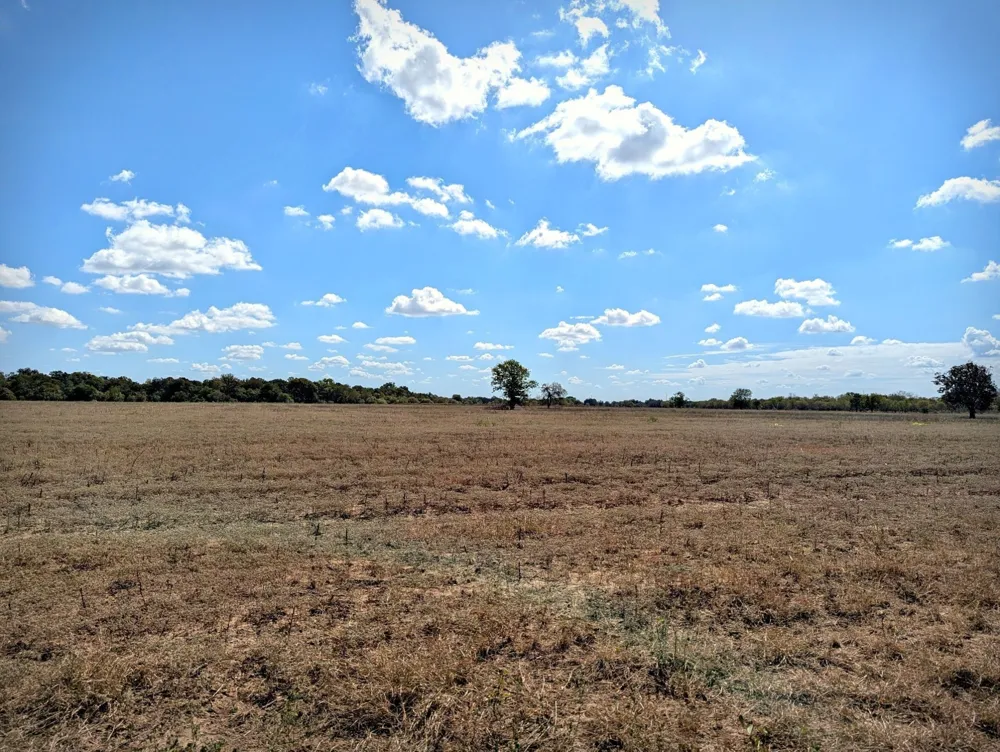 4194 SE River Road Martindale, TX 78655