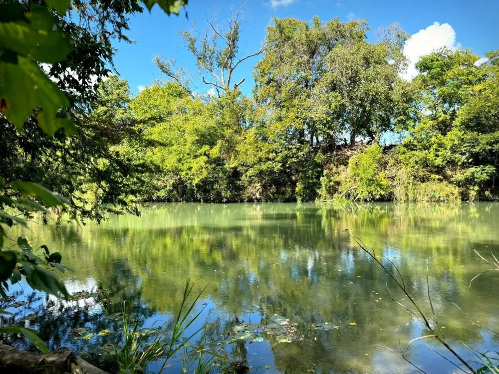 4194 SE River Road Martindale, TX 78655