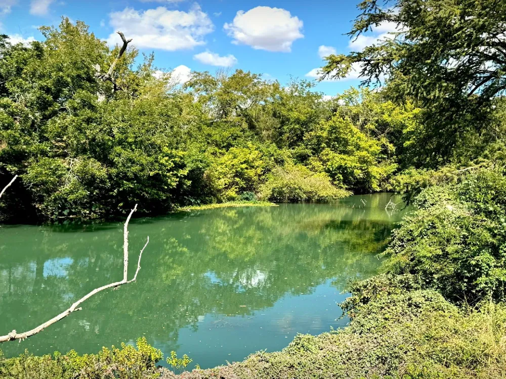 4194 SE River Road Martindale, TX 78655