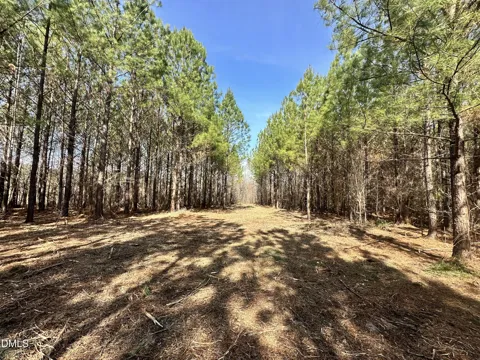 18.2 Acres Range Road