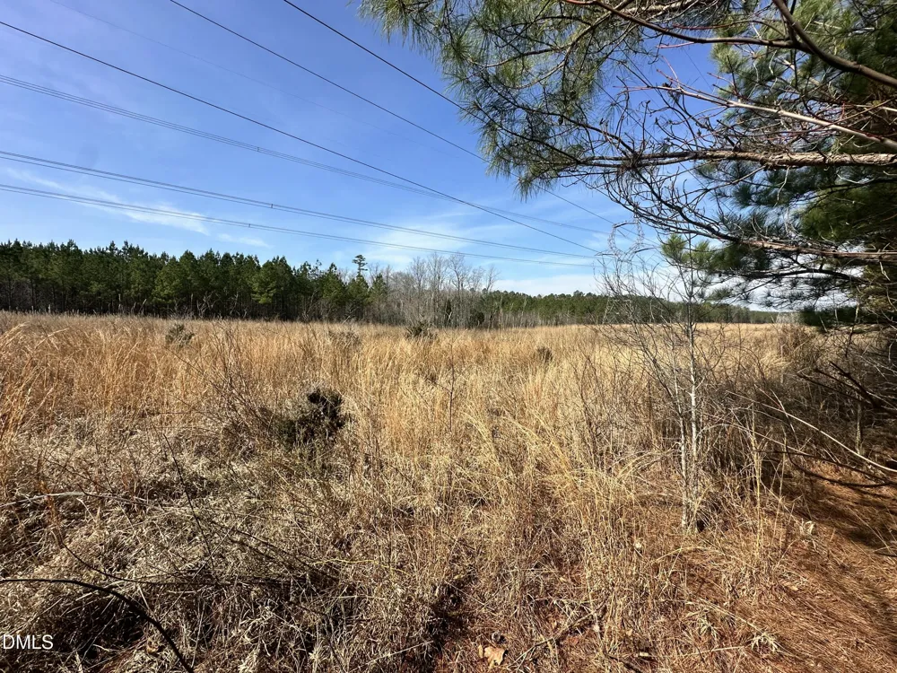 18.2 Acres Range Road Rougemont, NC 27572