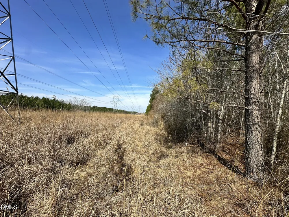 18.2 Acres Range Road Rougemont, NC 27572