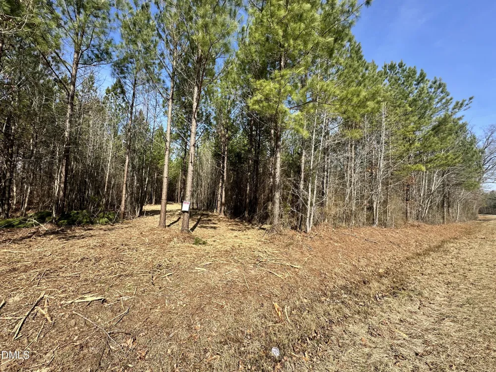 18.2 Acres Range Road Rougemont, NC 27572