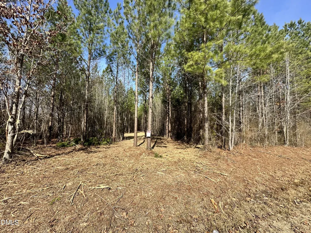 18.2 Acres Range Road Rougemont, NC 27572