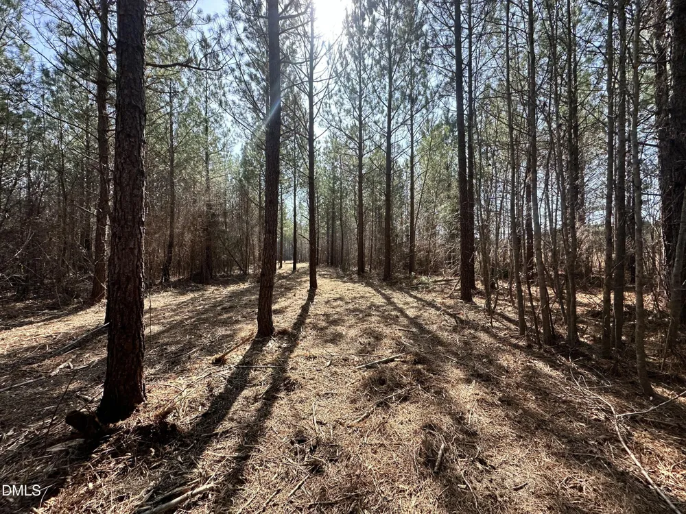 18.2 Acres Range Road Rougemont, NC 27572
