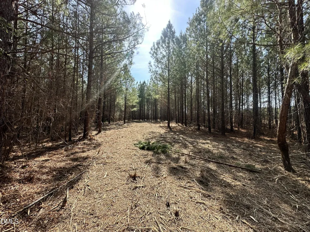 18.2 Acres Range Road Rougemont, NC 27572