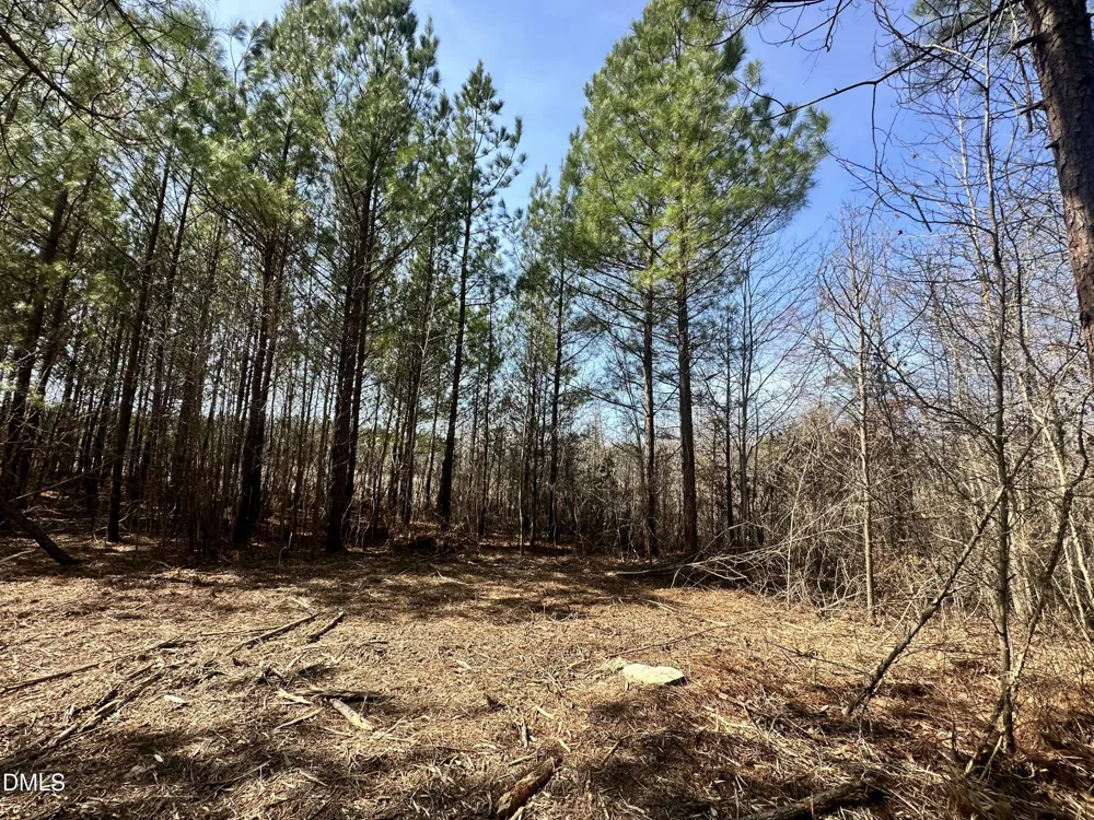 18.2 Acres Range Road Rougemont, NC 27572