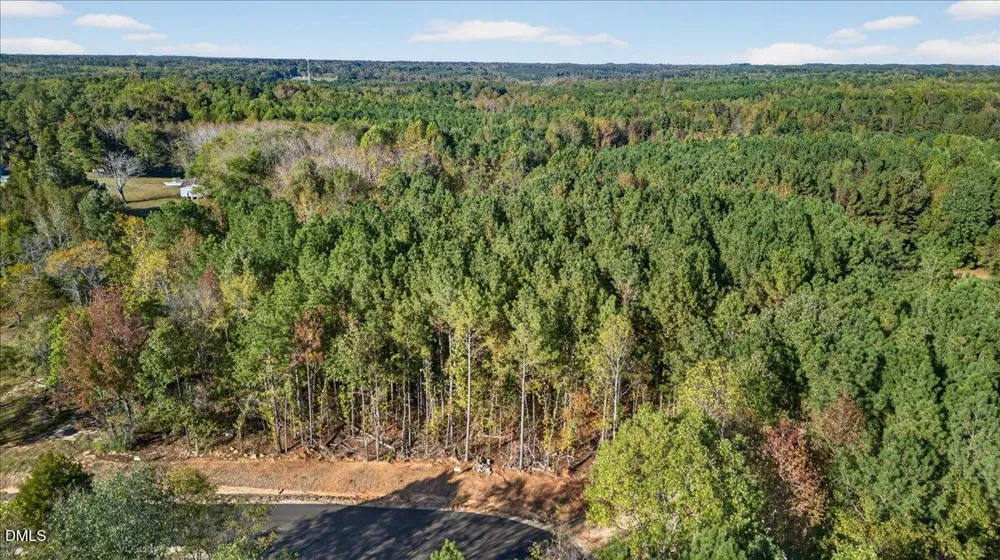 0 Zinnia Court Louisburg, NC 27549