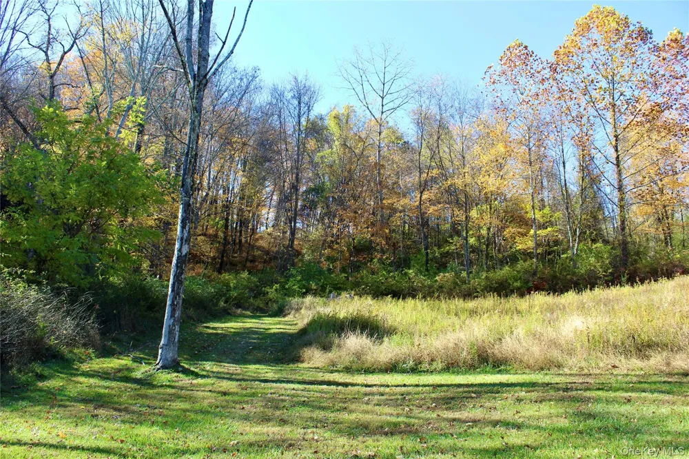 3 Spruce Hill Amenia, NY 12501