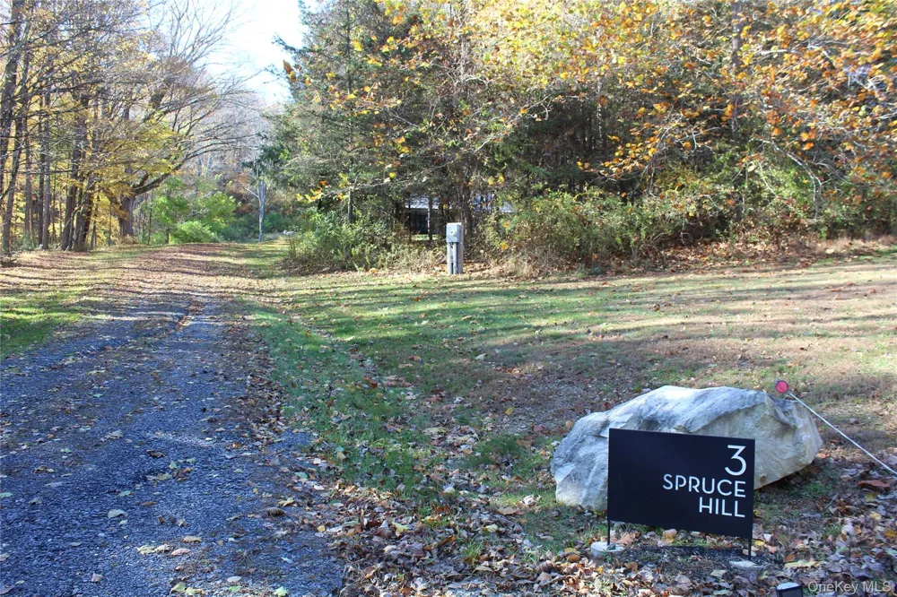 3 Spruce Hill Amenia, NY 12501
