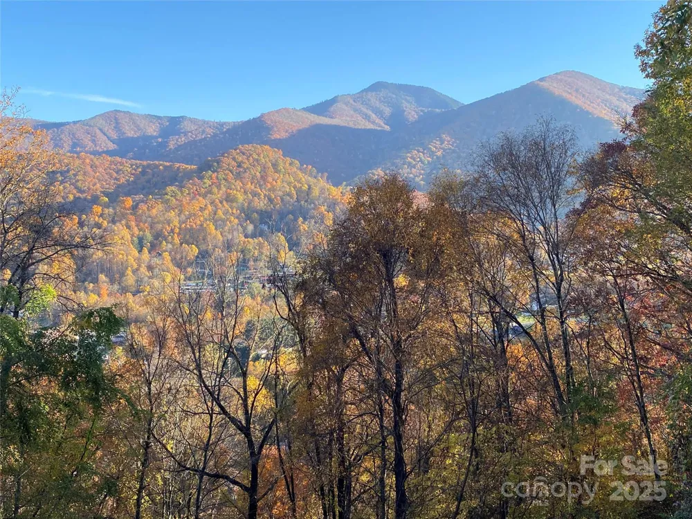 40 Cougar Lane #13,14,15,16 Maggie Valley, NC 28751