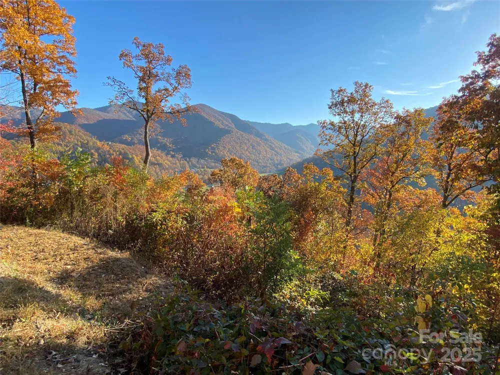 40 Cougar Lane #13,14,15,16 Maggie Valley, NC 28751