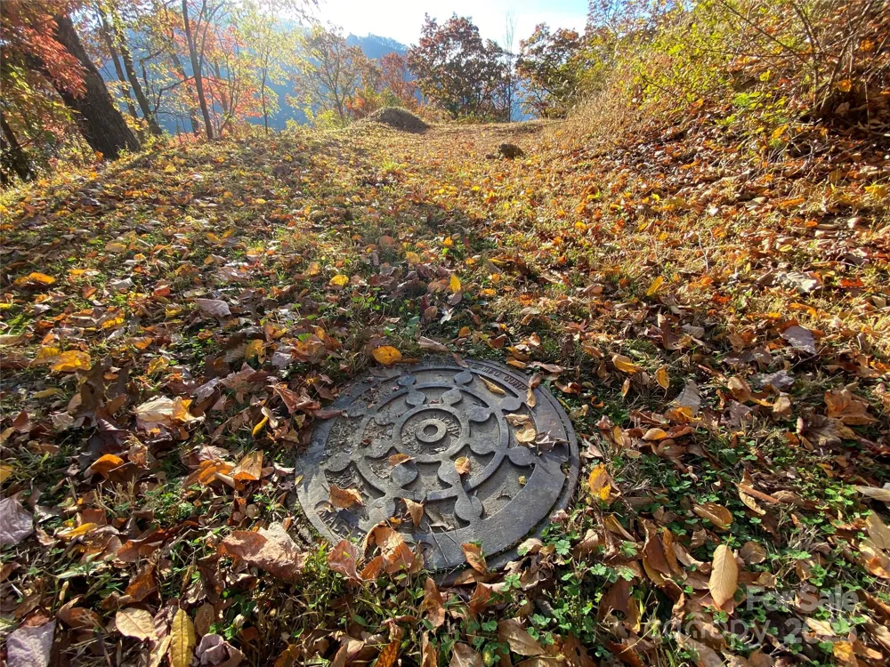 40 Cougar Lane #13,14,15,16 Maggie Valley, NC 28751