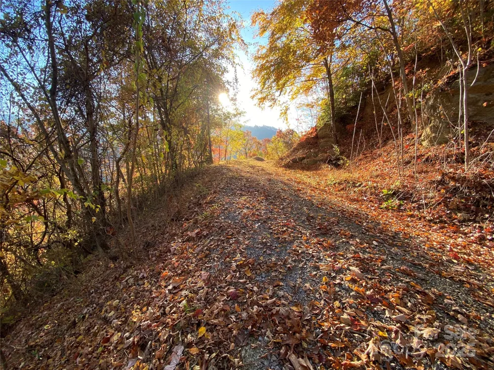 40 Cougar Lane #13,14,15,16 Maggie Valley, NC 28751