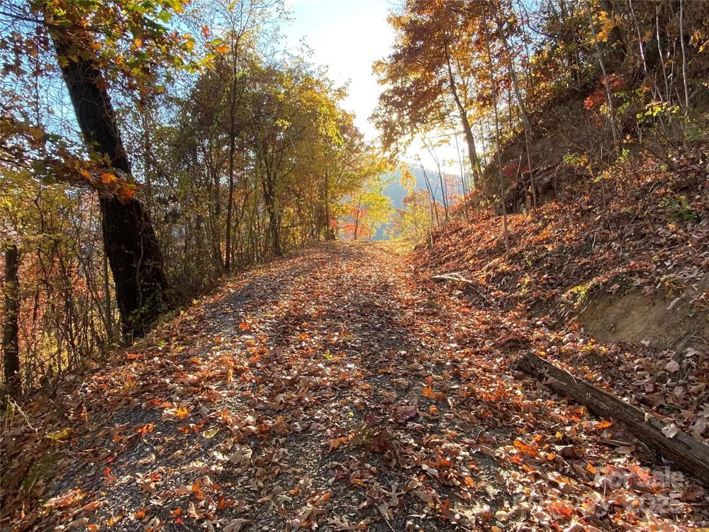 40 Cougar Lane #13,14,15,16 Maggie Valley, NC 28751