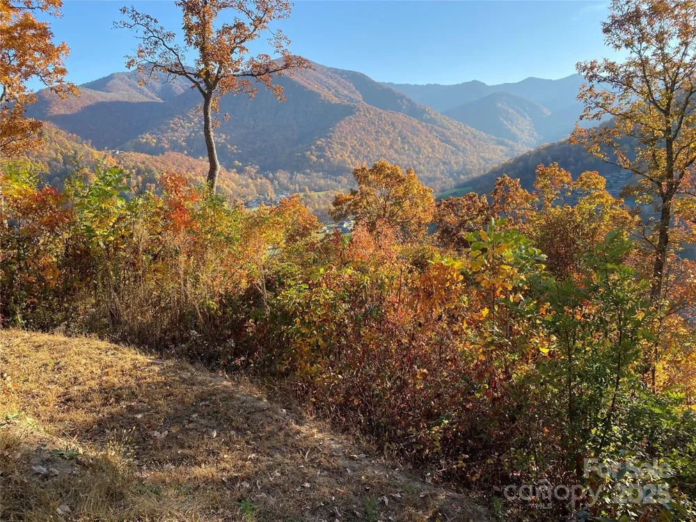 40 Cougar Lane #13,14,15,16 Maggie Valley, NC 28751