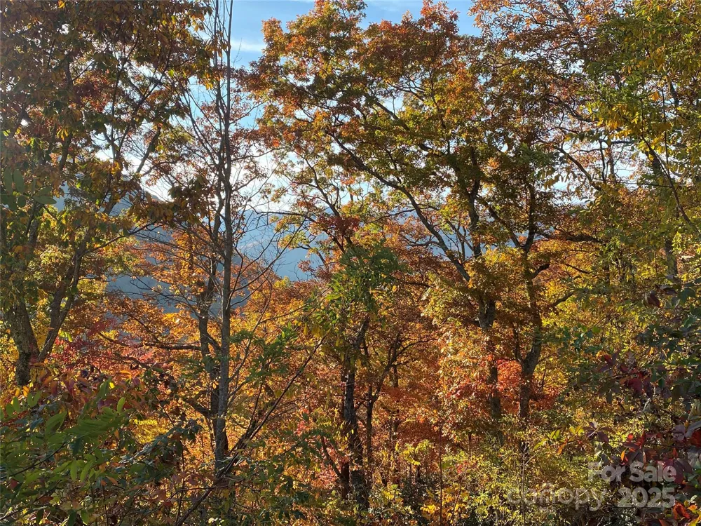 40 Cougar Lane #13,14,15,16 Maggie Valley, NC 28751