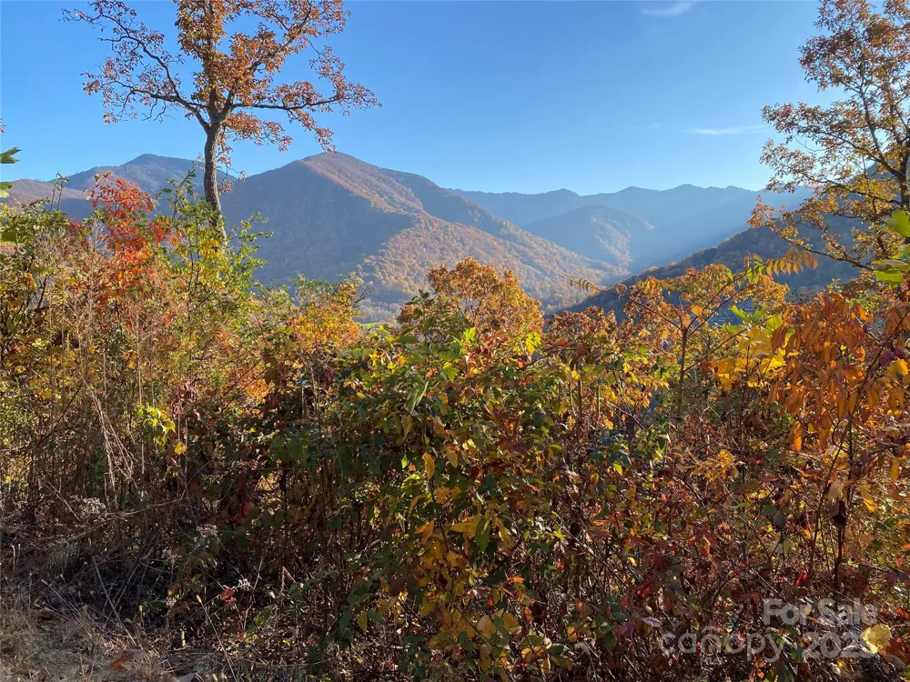 40 Cougar Lane #13,14,15,16 Maggie Valley, NC 28751