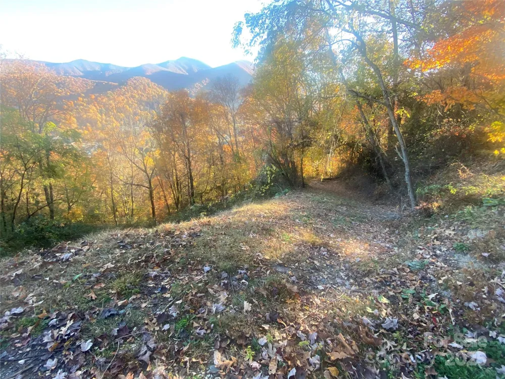 40 Cougar Lane #13,14,15,16 Maggie Valley, NC 28751