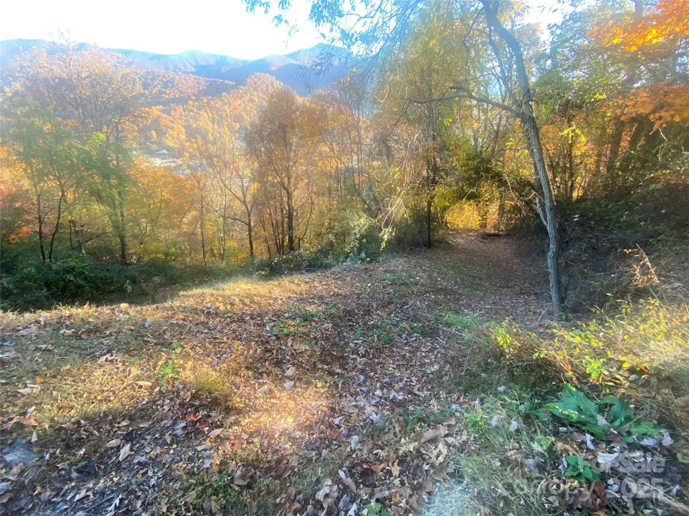 40 Cougar Lane #13,14,15,16 Maggie Valley, NC 28751