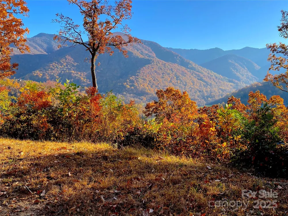 40 Cougar Lane #13,14,15,16 Maggie Valley, NC 28751
