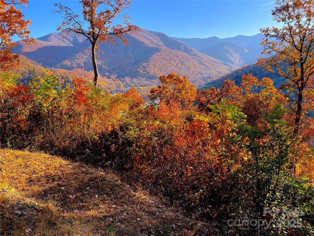 40 Cougar Lane #13,14,15,16 Maggie Valley, NC 28751