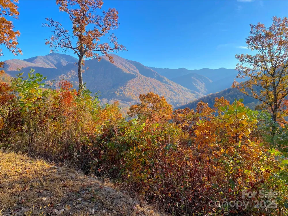 40 Cougar Lane #13,14,15,16 Maggie Valley, NC 28751