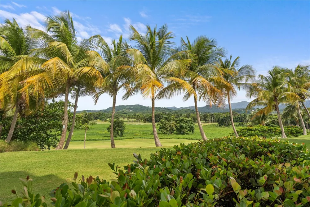 1601 RIO MAR VILLAGE #1601 Rio Grande, PR 00745