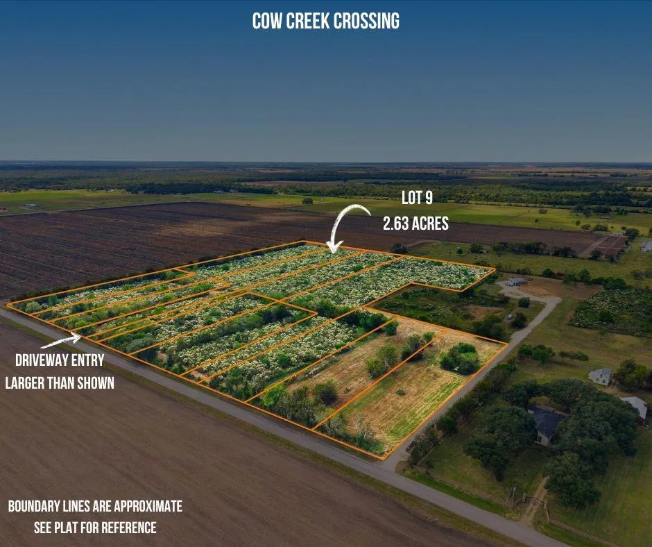 9 Cow Creek Road Damon, TX 77430