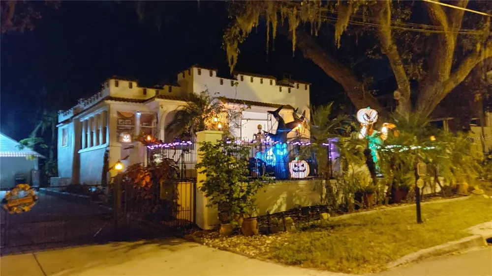 229 E 6TH AVENUE Mount Dora, FL 32757