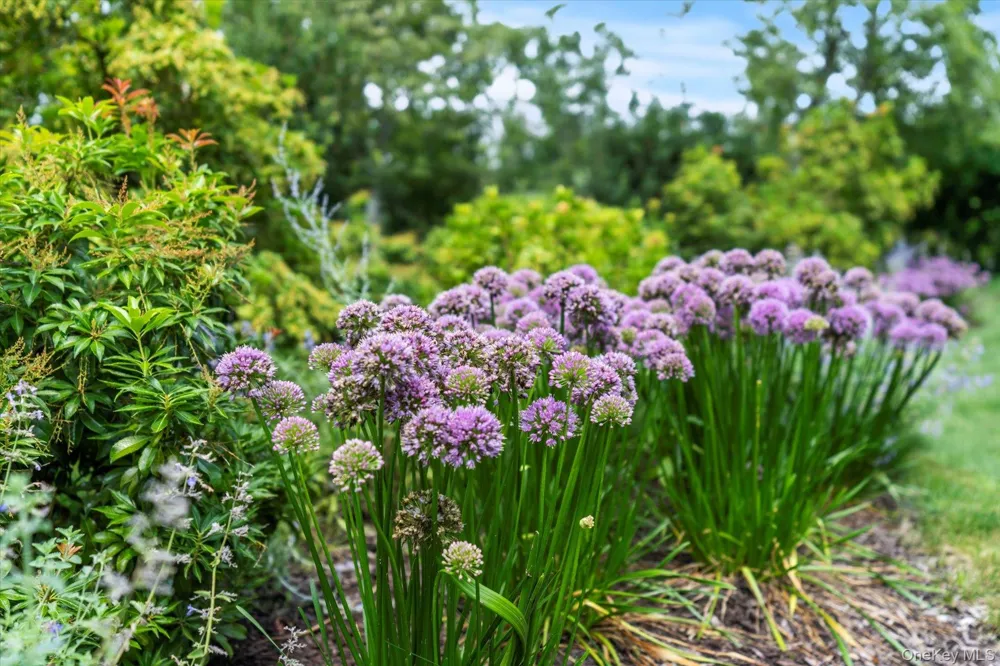 45 Huckleberry Lane East Hampton, NY 11937