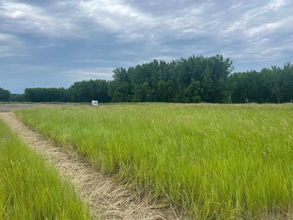 10220 State Hwy 9 S Barnesville, MN 56514