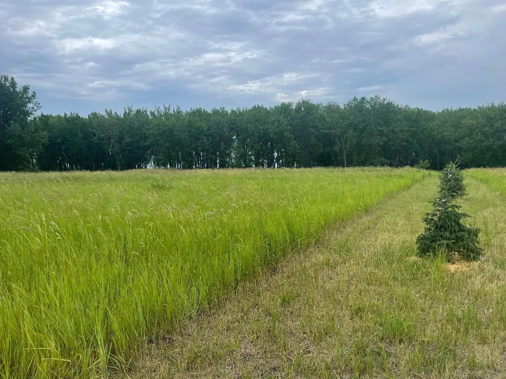 10220 State Hwy 9 S Barnesville, MN 56514
