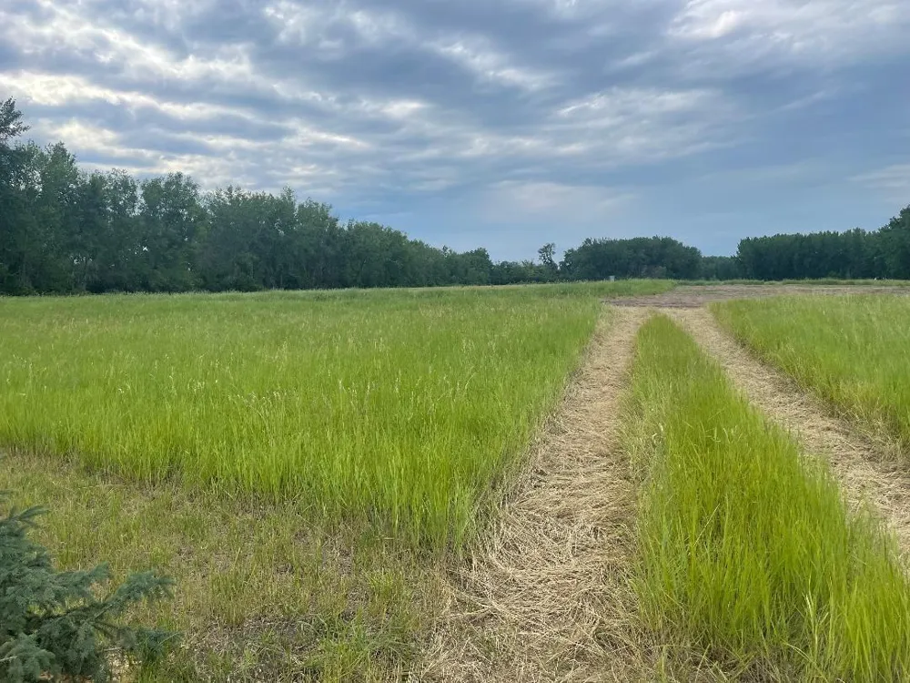10220 State Hwy 9 S Barnesville, MN 56514