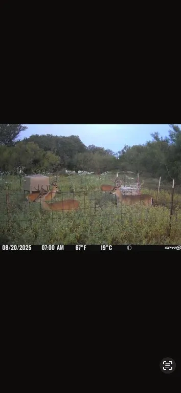 3 CR 424 Rochelle, TX 76872