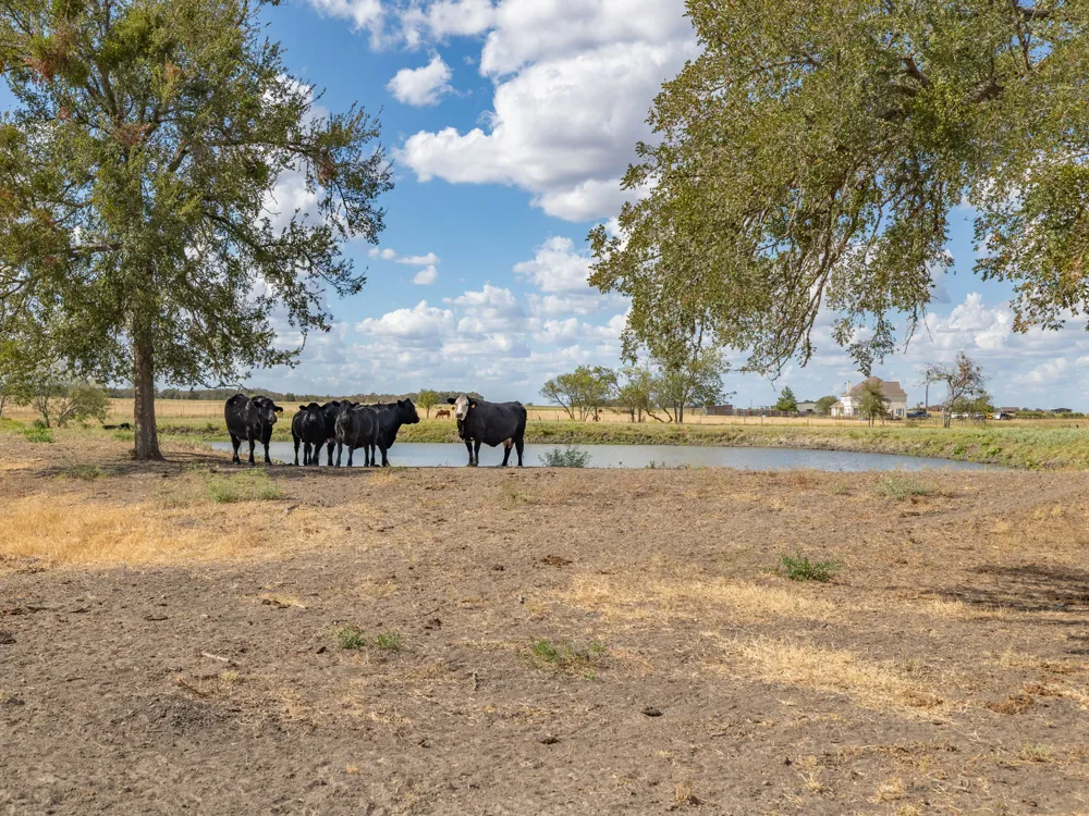 1801 County Road 470 Coupland, TX 78615