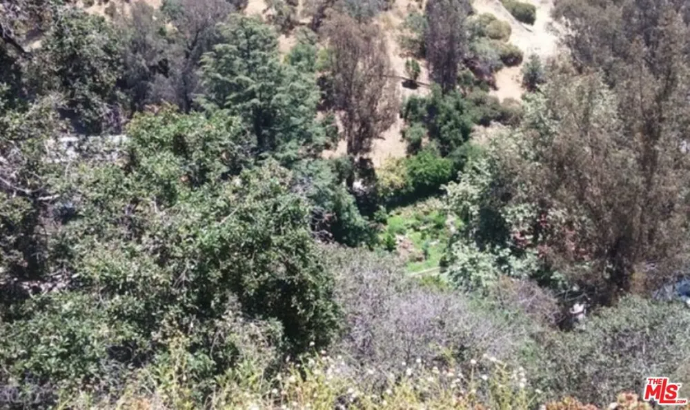 2314 Merrywood Dr Los Angeles, CA 90046