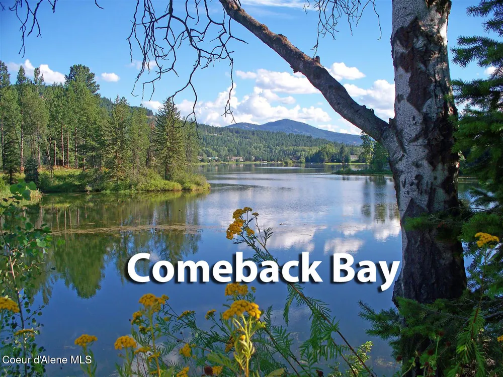1047 Comeback Bay Lane Sagle, ID 83860