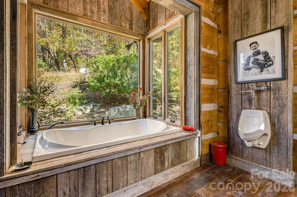 99 Thistle Ridge Canton, NC 28716