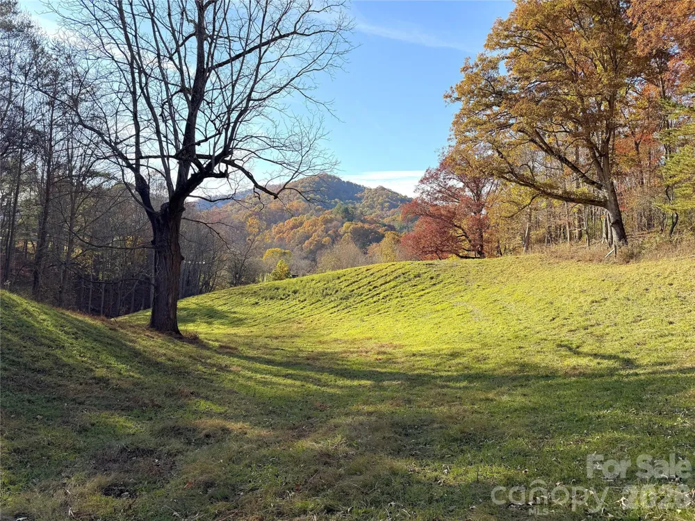 99 Thistle Ridge Canton, NC 28716