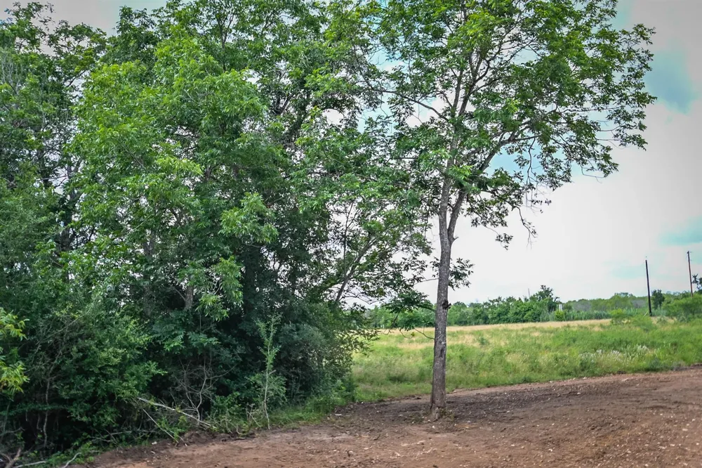 County Road 447 Waelder, TX 78959