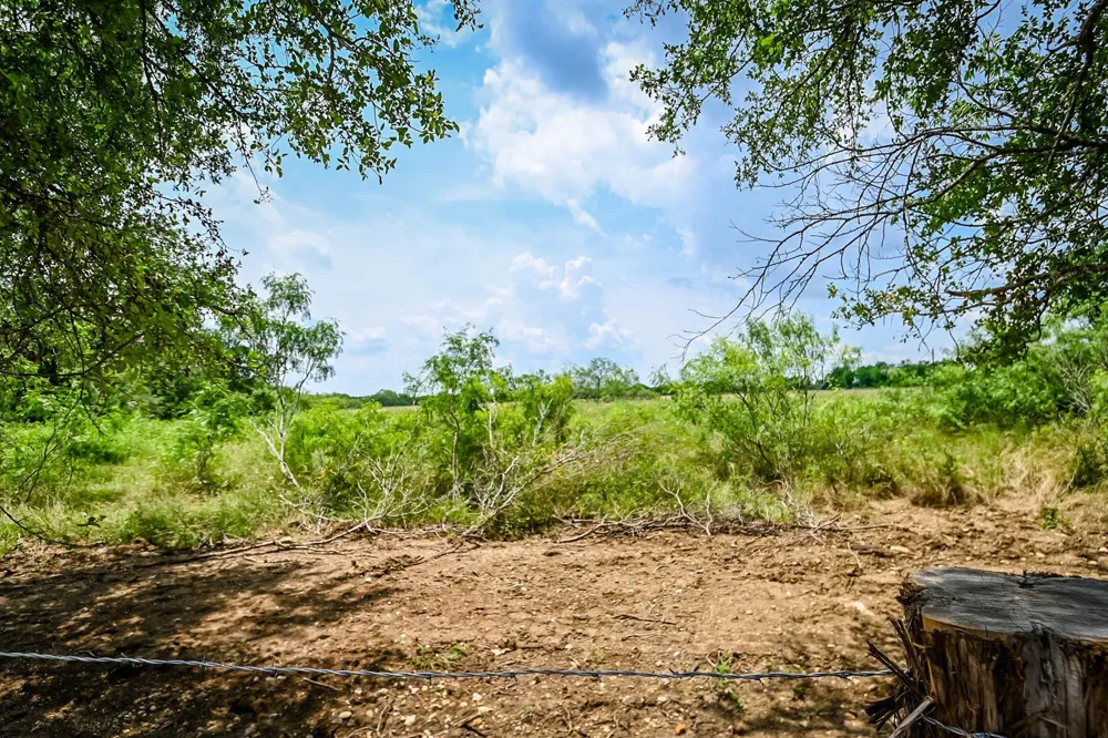 County Road 447 Waelder, TX 78959